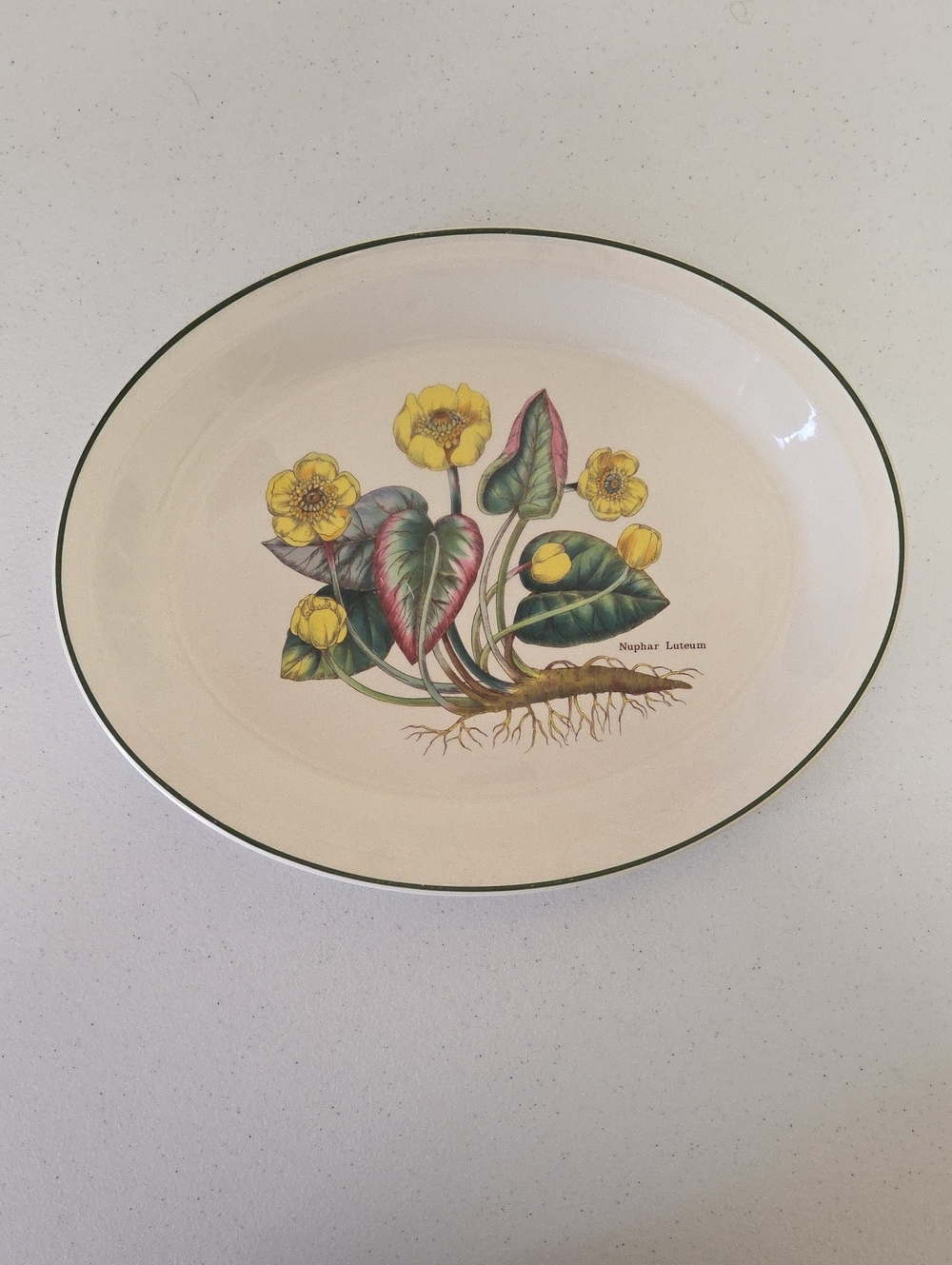 Wedgwood Florabunda Yellow Floral Ceramic Platter with Green Rim, 13 Inch.